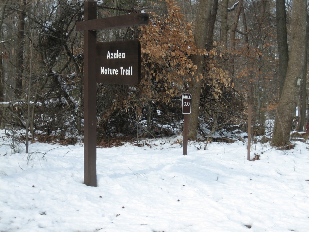 The entrance to the Azalea trail in the Sweetgum Picnic Area