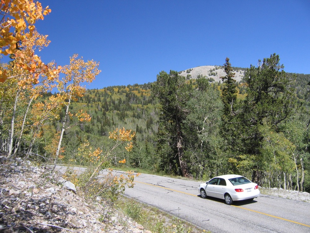 Driving through 5 life zones on the Wheeler Peak Scenic Drive in 12 miles.