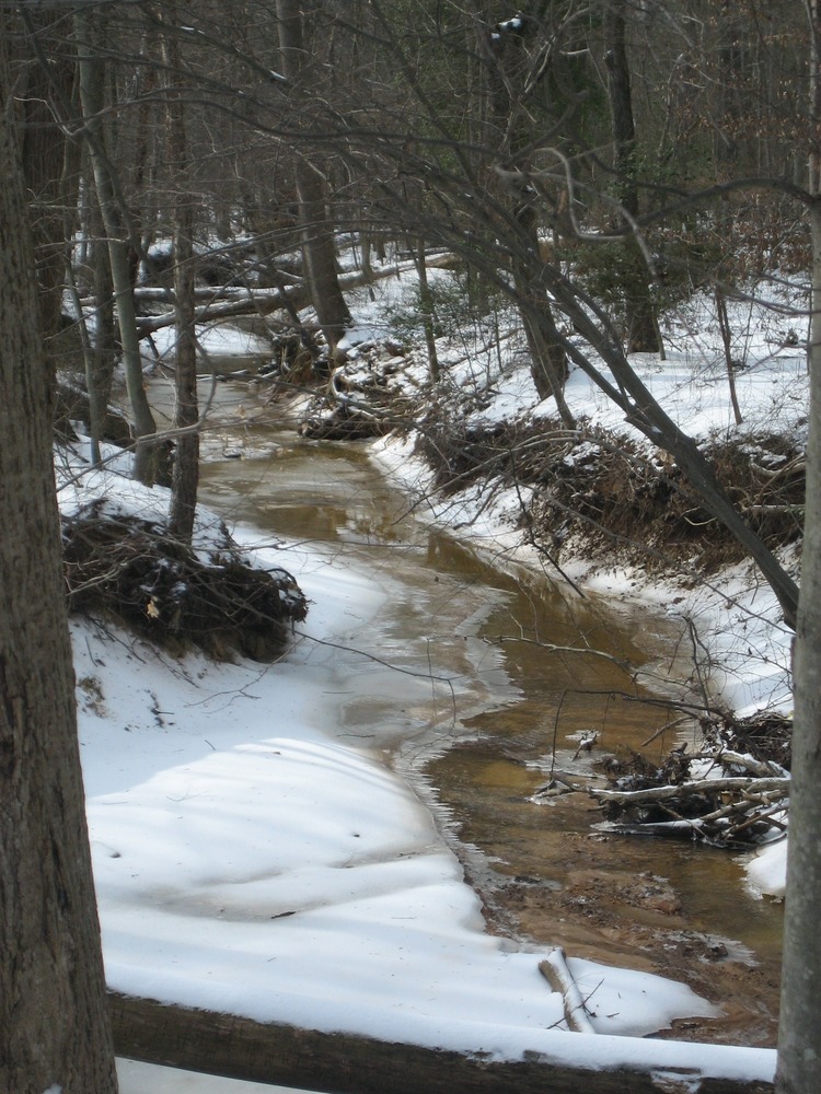 a picture of Still creek in the snow and cold of Winter