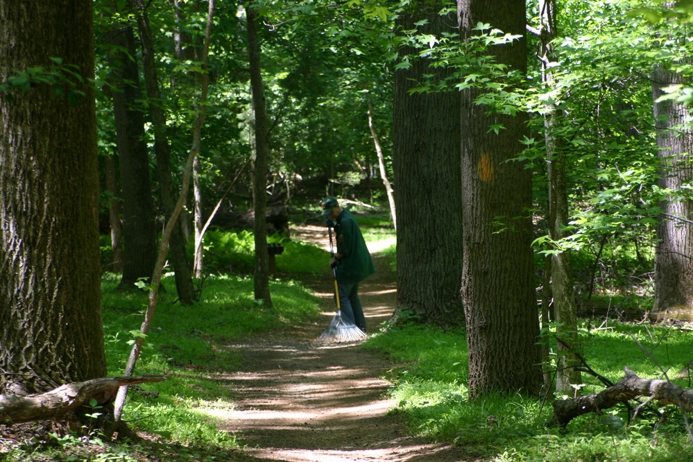 a trail in Greenbelt Park