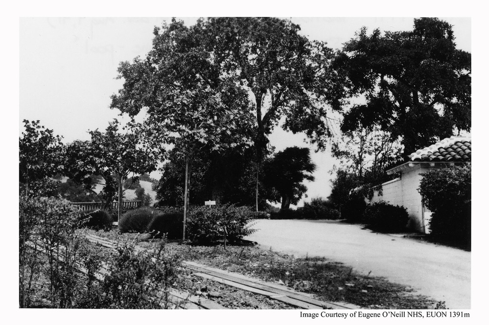 Driveway at Tao House [EUON 1391 m]