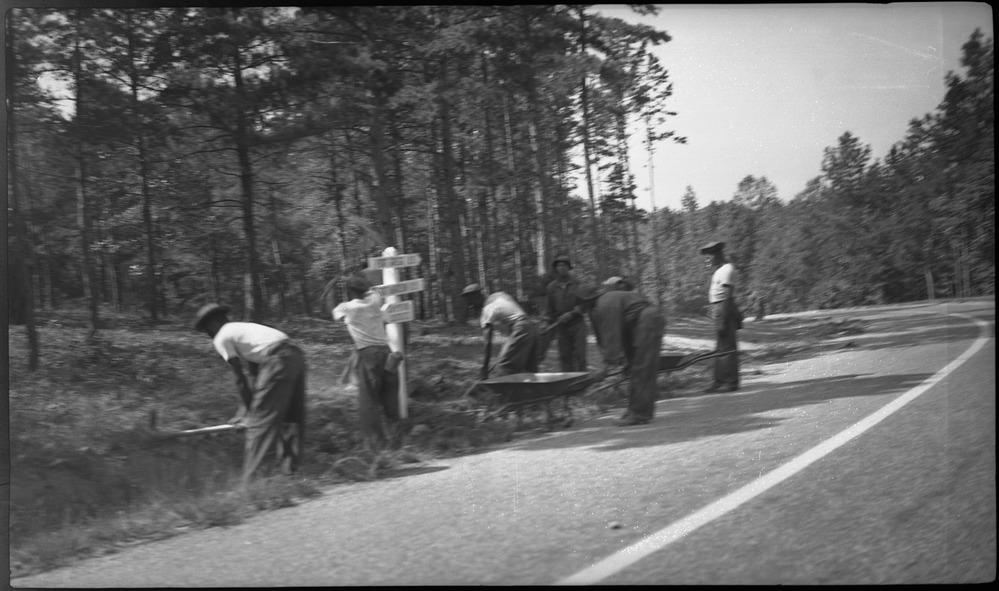 CCCs work along roadside.
