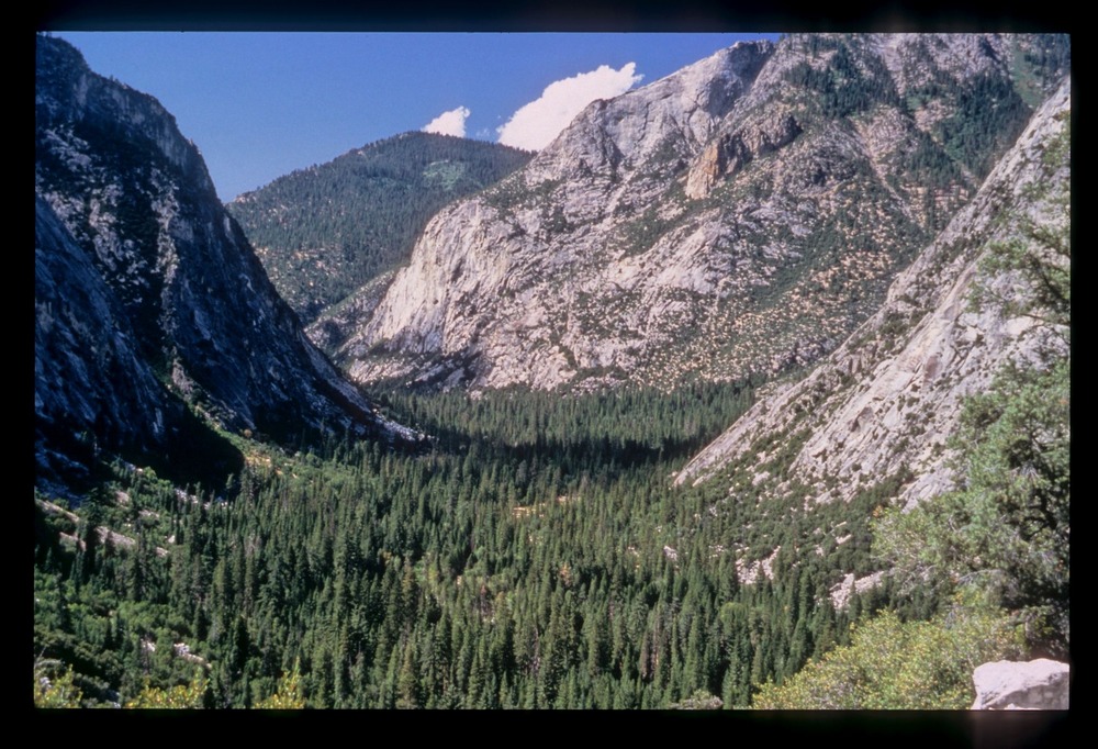 A valley of trees in-between two massive rocky mountains.