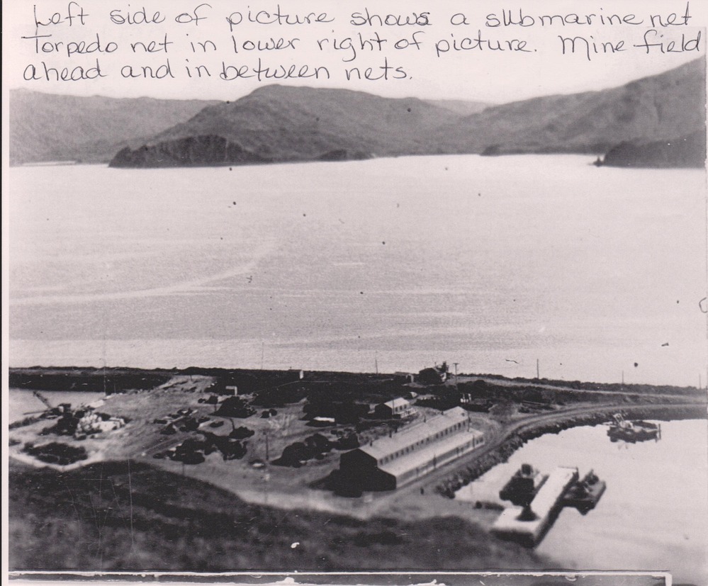View of Dutch Harbor