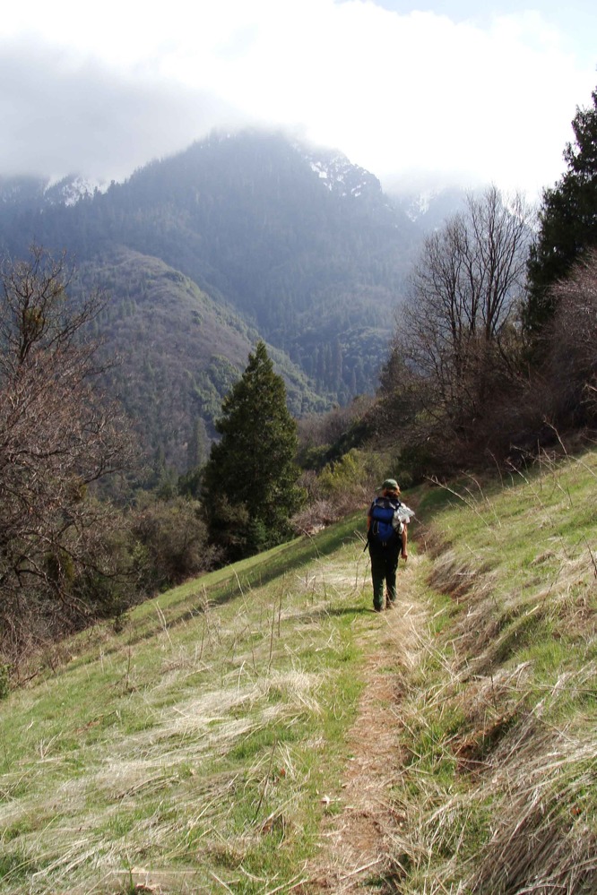 A hiker follows the Ladybug Trail on a grassy slope. There is a large mountain reaching into the clouds in the background.