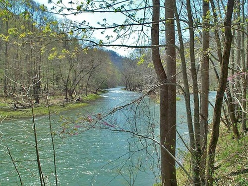 Springtime view of Bluestone River