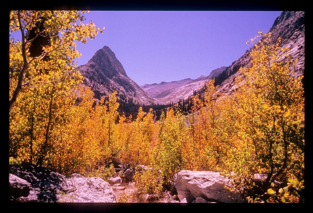 Glacial carved valley in Kings Canyon National Park