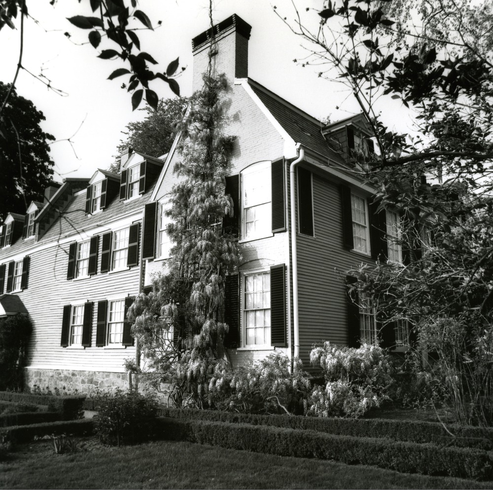 Photograph of the side of the Old House with wisteria, 1960s. The wisteria continues to bloom every spring.