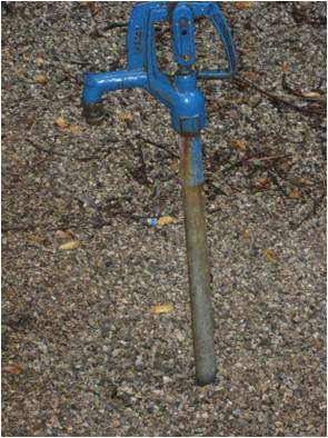 Typical images in Peaks of Otter Campground