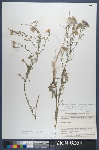 Herbarium Specimen Sheet 6254