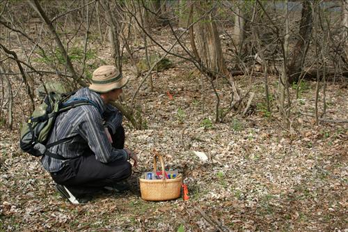 Protecting Resources: Sustaining Wild Mushrooms in Four NCR Parks - Photos from University of Arkansas led study