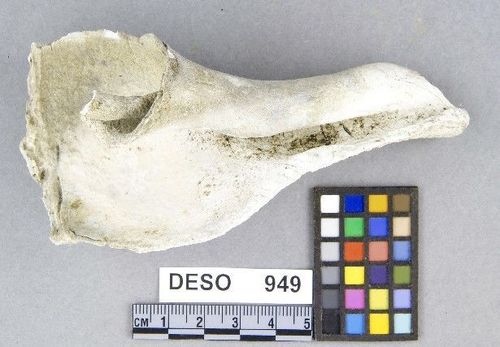 DESO     949 -- Hammer