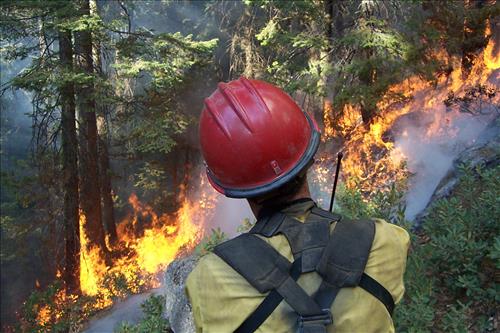 Sunset prescribed burn in Grant Grove, Sequoia and Kings Canyon National Parks, fall 2002