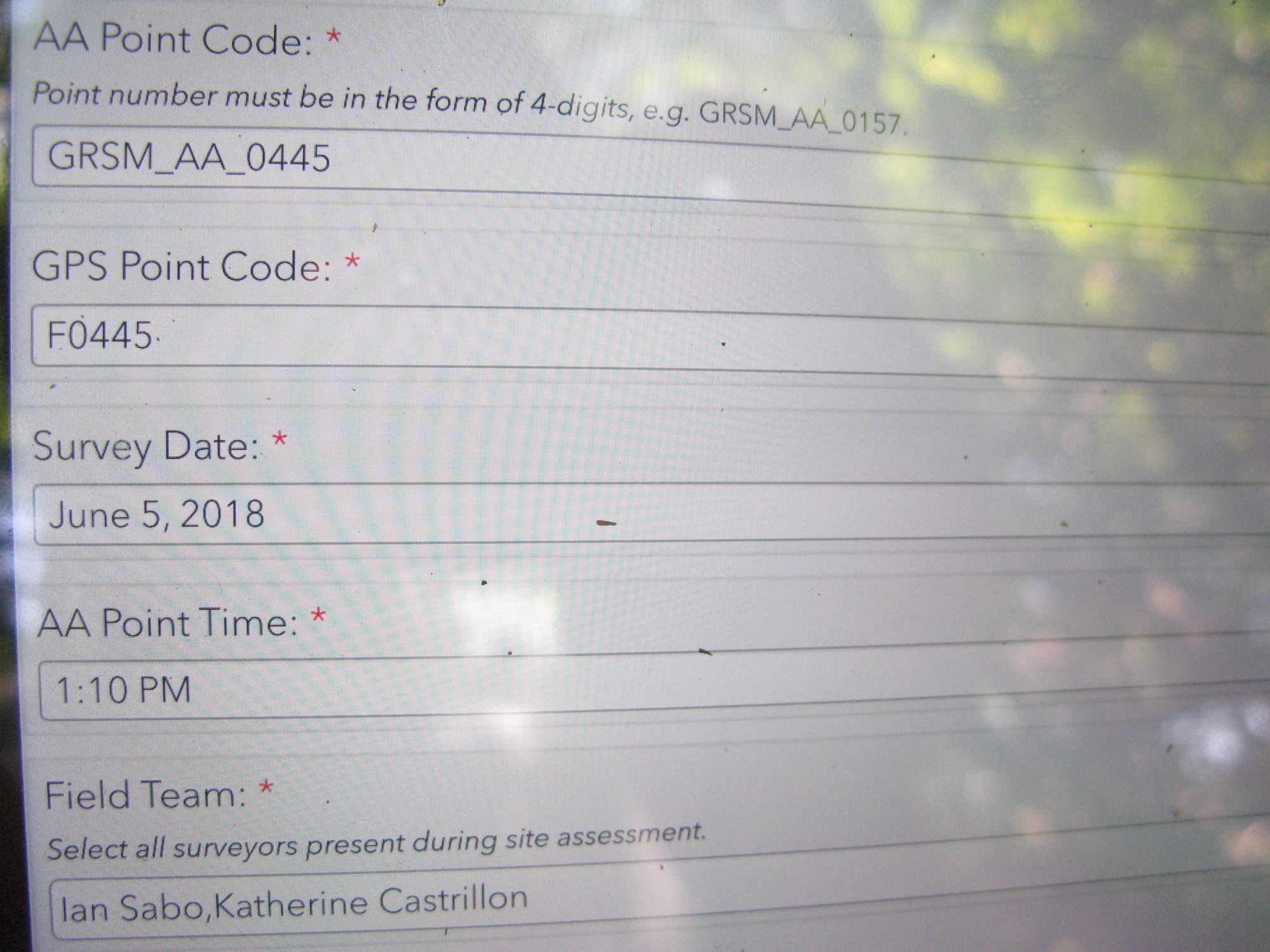 GRSM Accuracy Assessment. Plot Code: GRSM_AA_0445