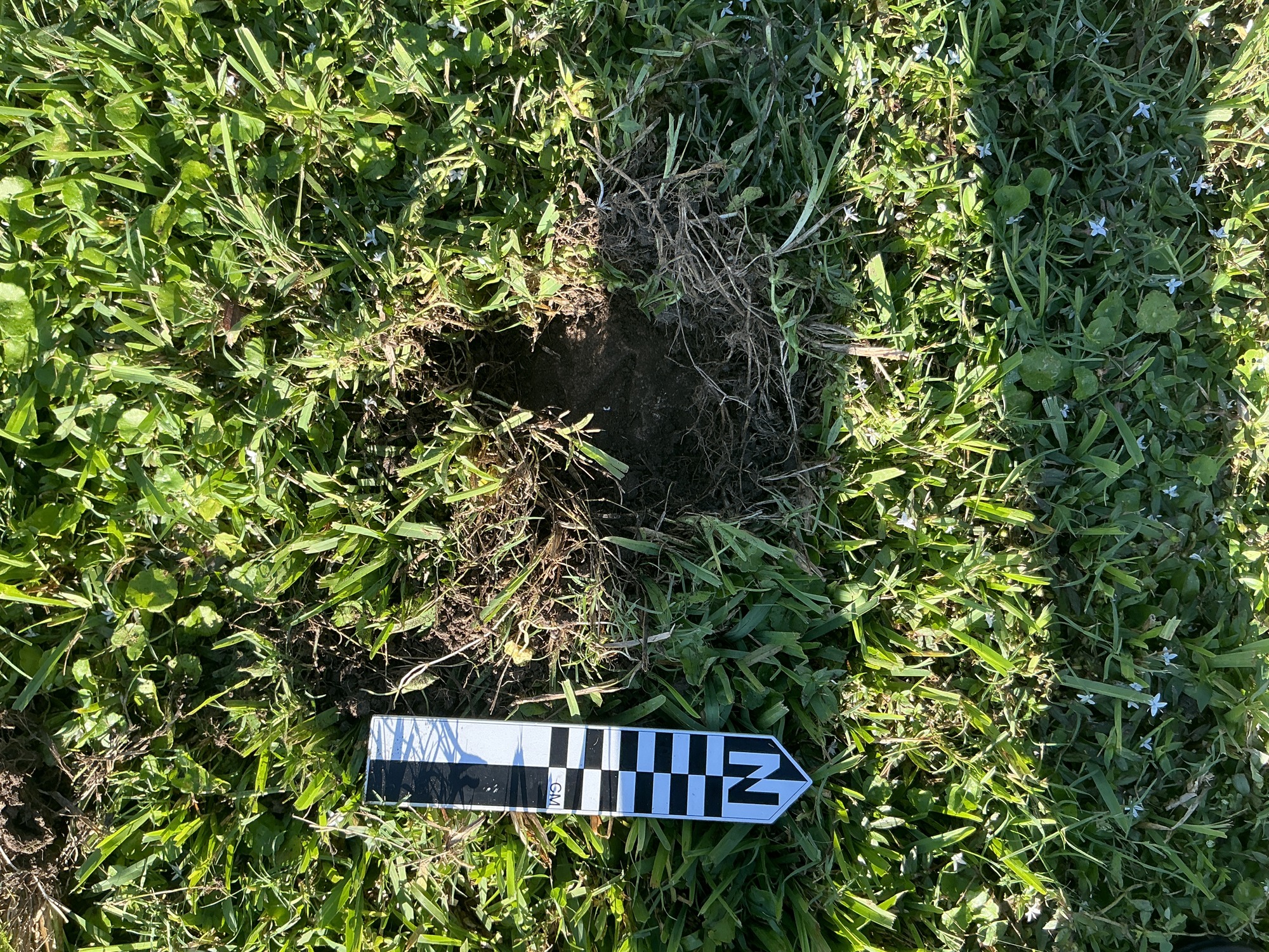 Extra image of flat marble marker