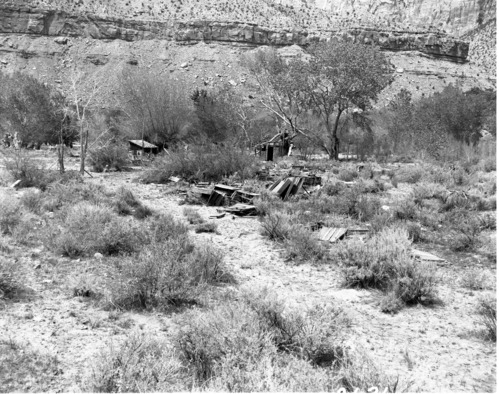 Samuel Crawford property with sheds and rubbish.