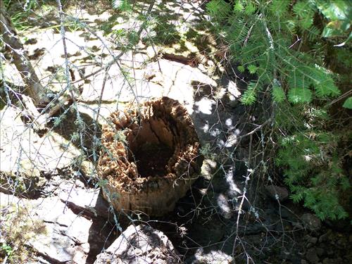 Trail sign damage examples on Isle Royale