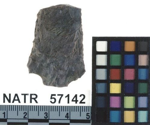 NATR   57142 -- Untyped projectile point