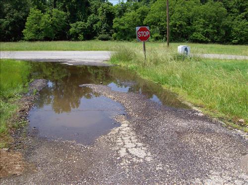 PISC-Existing Conditions at Marshall Hall in Piscataway Park, June 4, 2008