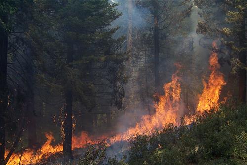 Sunset prescribed burn in Grant Grove, Sequoia and Kings Canyon National Parks, fall 2002
