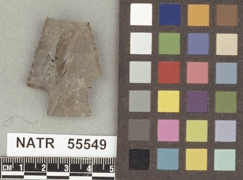 NATR   55549 -- Untyped projectile point