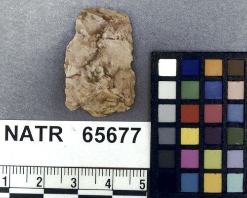 NATR   65677 -- Untyped projectile point
