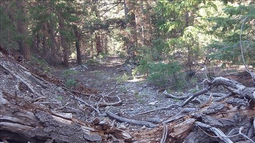 Rehabilitate SF Baker Creek and North Fork Big Wash Trail Systems