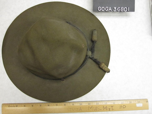 GOGA 36801 Campaign Hat, felt with leather braid.