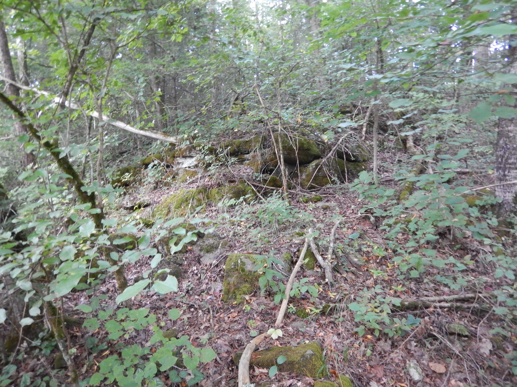 GRSM Accuracy Assessment. Plot Code: GRSM_AA_0579_7