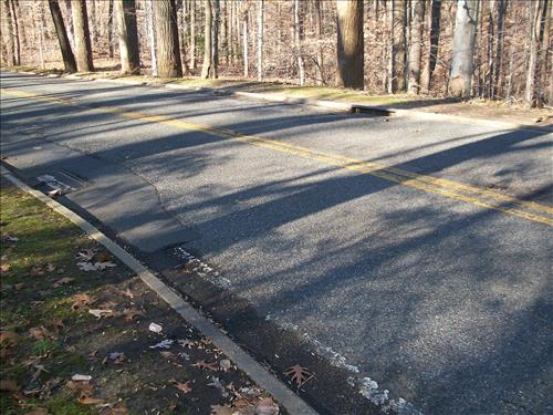 Reference Photos of Existing Catch Basins throughout Rock Creek Park Dec, 2011