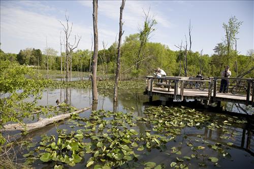 Nature Photographers