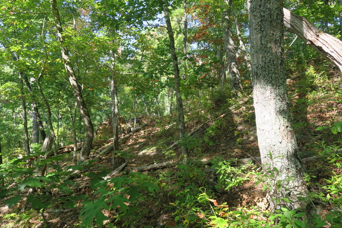 GRSM Accuracy Assessment. Plot Code: GRSM_AA_0968_5