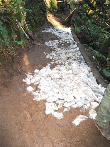 Rec Fee Project: Rehabilitate Notch, Muir Beach Overlook, & Hillside Trails