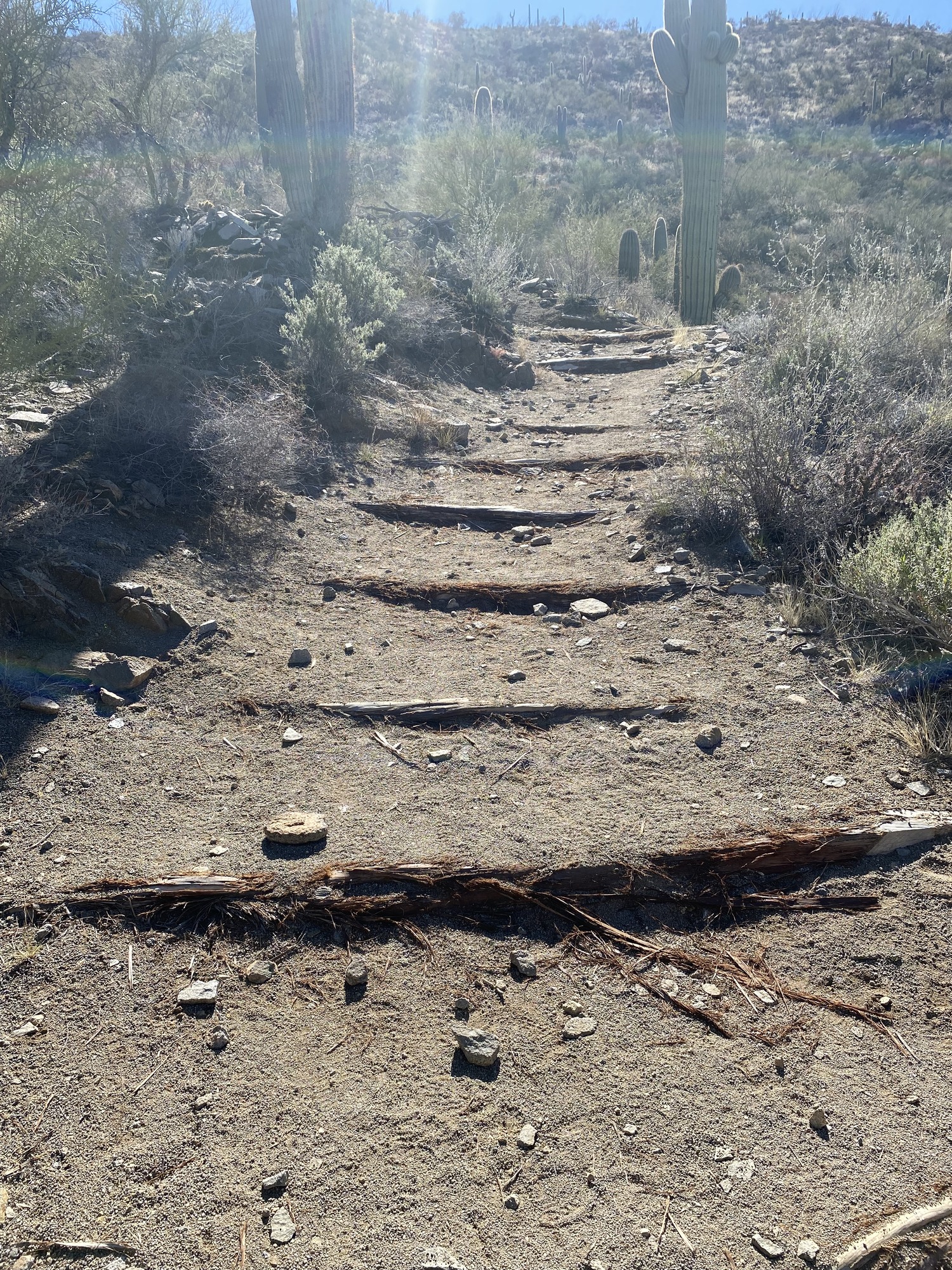 shallow staircase on Sendero Esperanza Trail