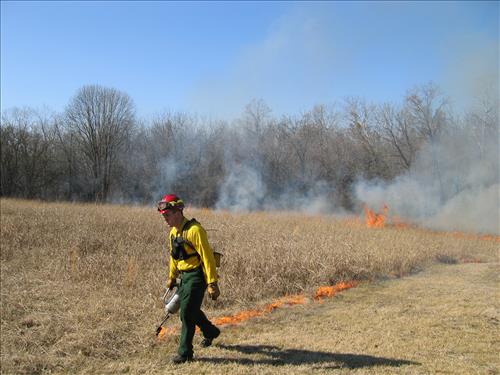 Prescribed burning at Pea Ridge National Battlefield