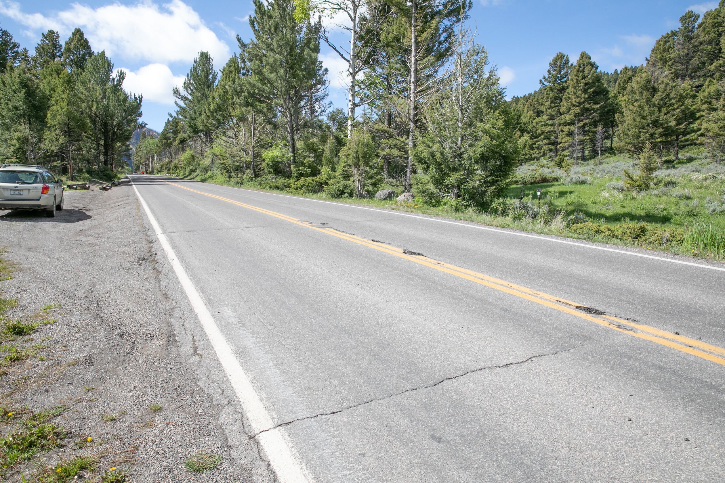 A trail goes off the road through a sagebrush covering opening with trees in background.