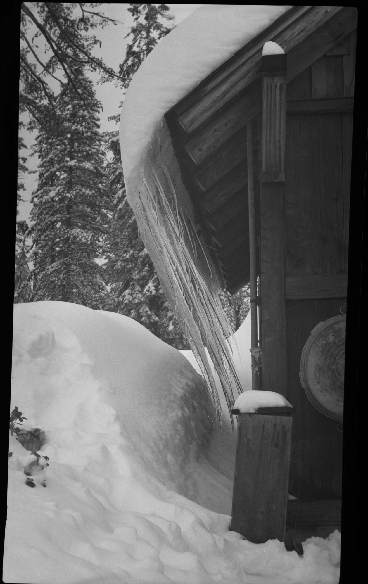 SEKI Roberts Collection Series: 2 Negatives; 14 Sites and Structures