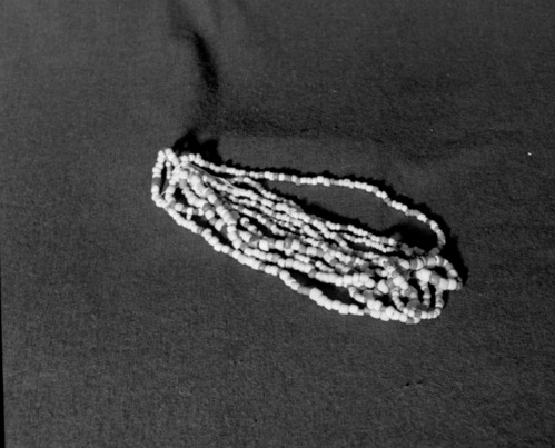 Marie Rozier Collection, Catalog No. 3-1. Object: Trade beads. Dimensions: (large hank). Materials: Cornaline d'aleppo, opaque glass paste, and blue faceted "Russian" beads. Collection History: Dug from a Native American burial ground in Groveland. Acquired from Marie Peterson. Photographed by Michael Dixon in December 1982. Catalogued by Craig Bates and Barbara Beroza. Yosemite Collections, National Park Service.