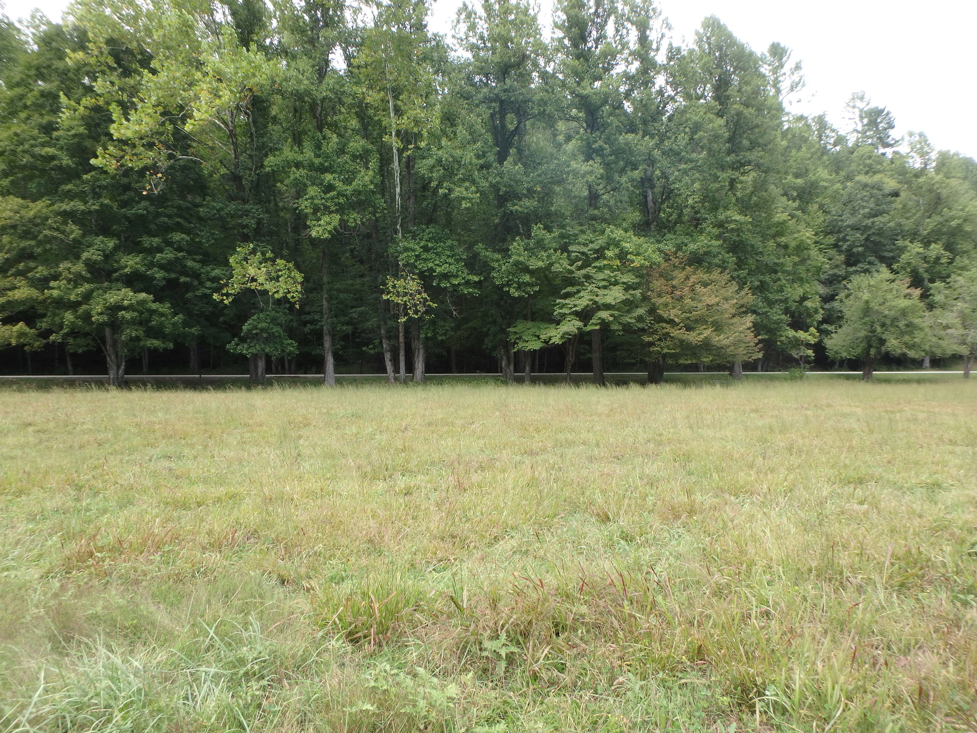 GRSM Accuracy Assessment. Plot Code: GRSM_AA_0093_2