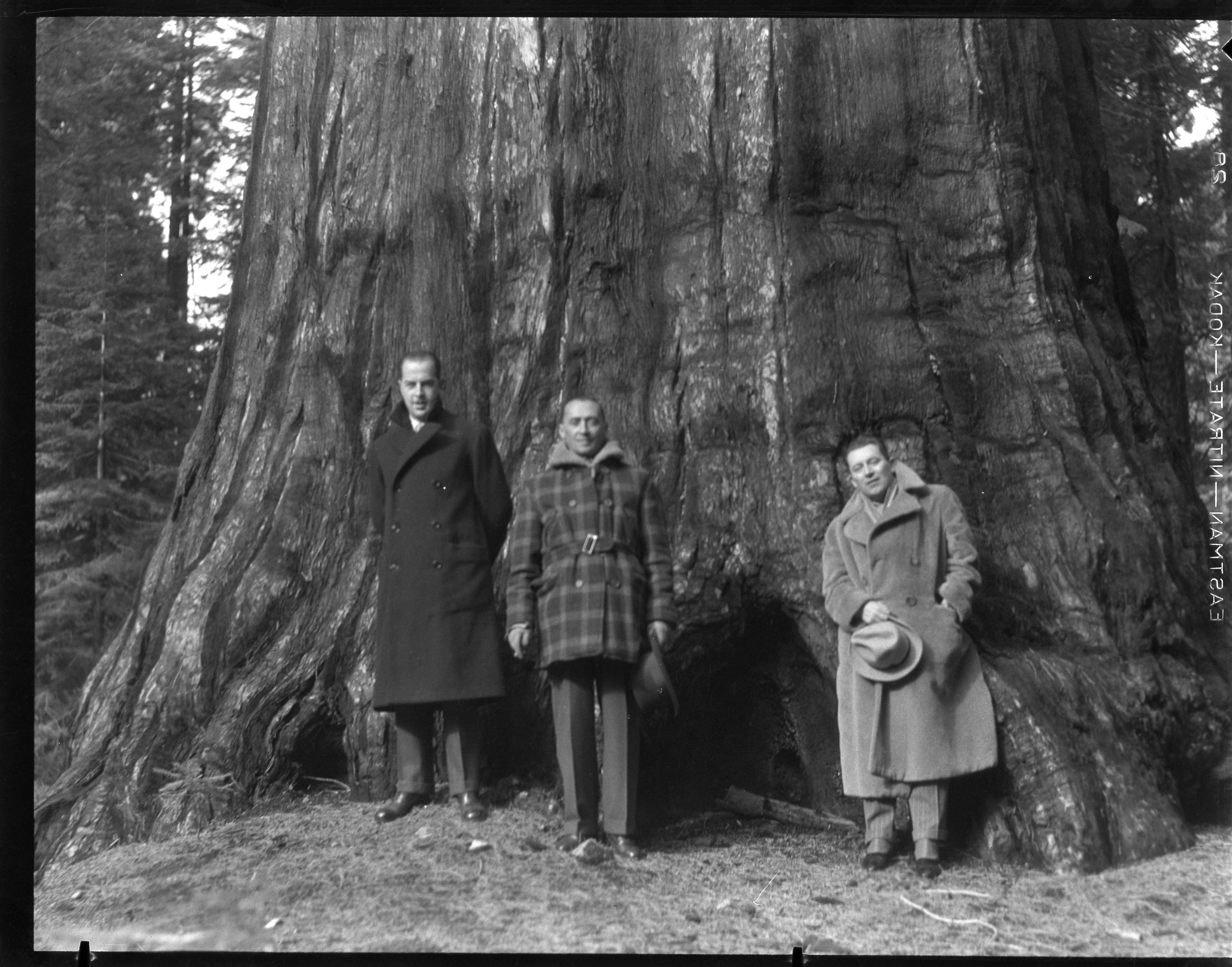 L-R: Vice consul Antonio San Felice; Ambassador Augusto Rosso; Italian consul general Vico Amanzini. Italian Ambassador part at Big Trees.