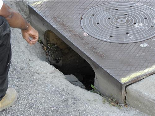 Water damage to Ebenezer Church at Martin Luther King, Jr. National Historical Park in October 2009