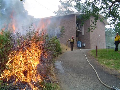 Prescribed burn using drip torch ignition at Ash Mountain Headquarters, Sequoia and Kings Canyon National Parks, May 2004