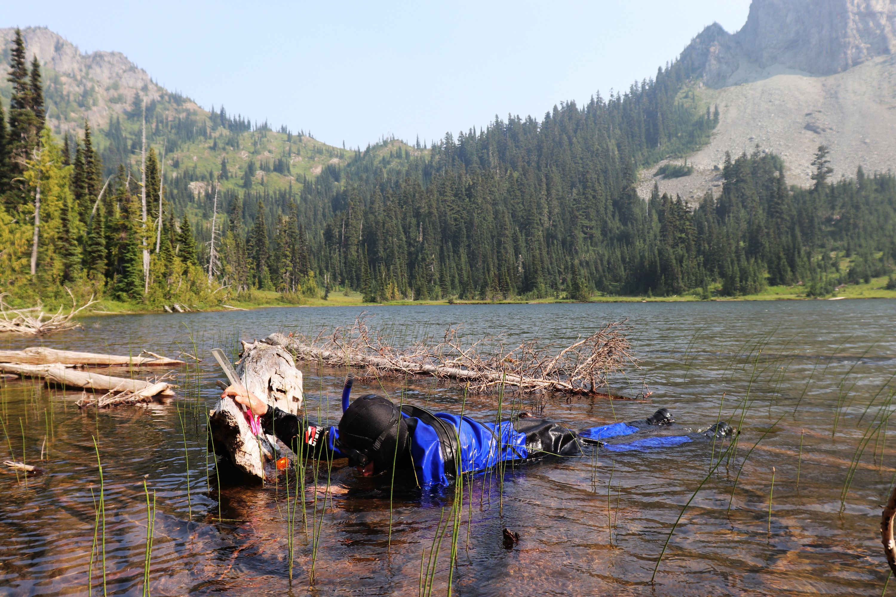 A park employee is partially submerged in a lake wearing a dry suit to complete a survey. 