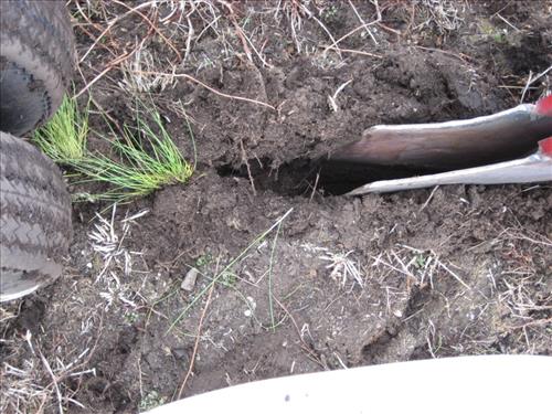 Prairie Restoration, Part 2