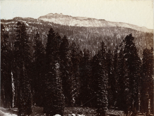 Castle Peak from Lava Bluff