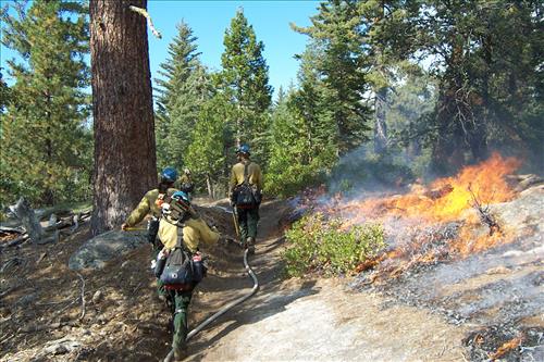 Sunset prescribed burn in Grant Grove, Sequoia and Kings Canyon National Parks, fall 2002
