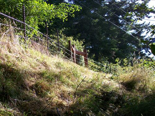 Orick Hill Fence Repair 2010