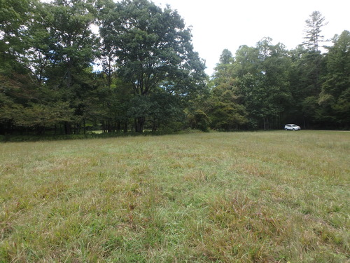 GRSM Accuracy Assessment. Plot Code: GRSM_AA_0093_5