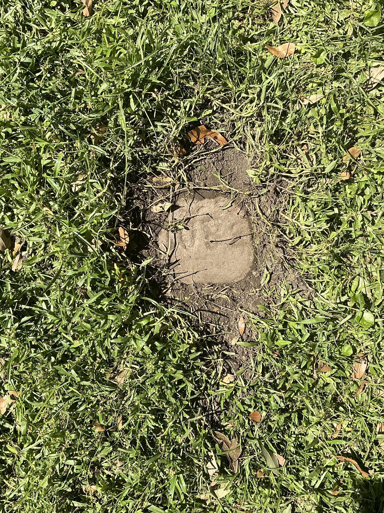 Top of flat marble marker