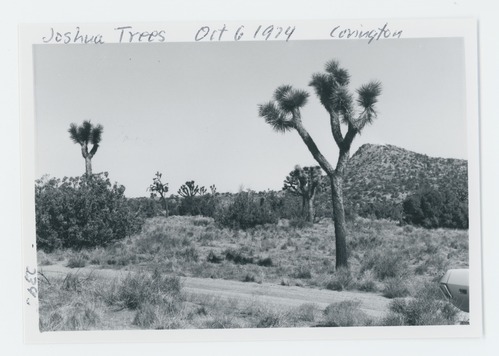 Black and white image of Covington area